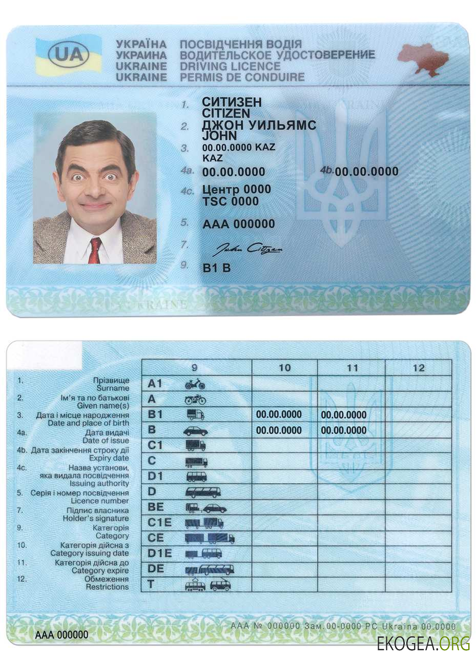 Ukraine driving license template in PSD format, fully editable (2016 2021)